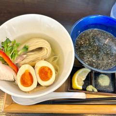 トモシビの画像