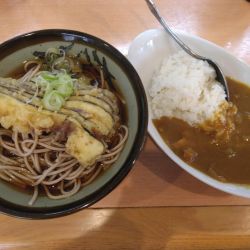 なす天そば420円、半カレー270円