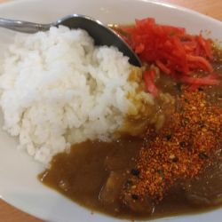 半カレー270円、なす天そば420円