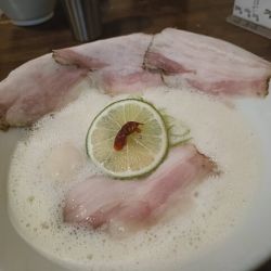 限定鶏白湯ラーメン