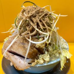 限定 NaCl ブタまし ネギ しょうが お魚天国