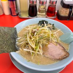 ラーメン+ネギ(650+100¥)
