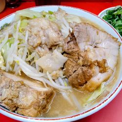 ラーメン並+九条ネギ