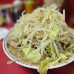 豚入り大ラーメン(太麺野菜大盛) ￥1,330