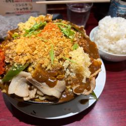 カレー肉めん(中盛)+肉倍盛り+ライス