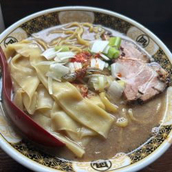 すごい煮干ラーメン+ラーメン大盛り