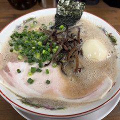 博多ラーメン 洋ちゃん食堂の画像