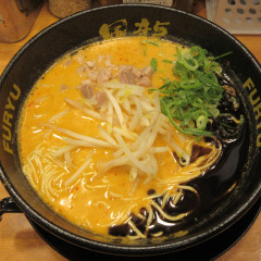 とんこつラーメン 博多風龍 新橋店の画像