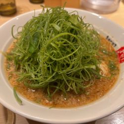 九条ネギラーメン(大盛)