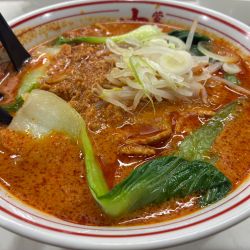 【限定】中本風担々麺5辛5倍