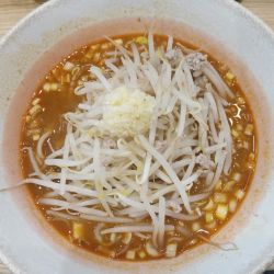 味噌󠄀らーめん・スープ少なめ・麺軽め+ニンニク