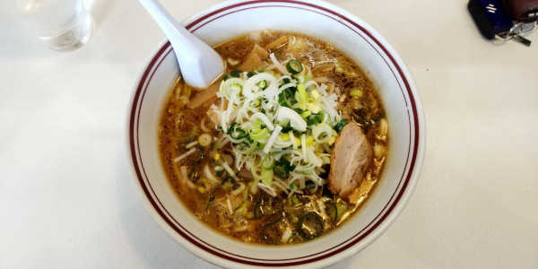 「特製みそ野菜ラーメン　ネギ＋」@味の一令の写真