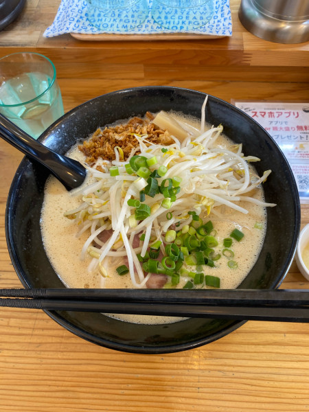 「鶏泡みそ大盛ニンニクトッピング」@鶏泡そば 草戸ベースの写真