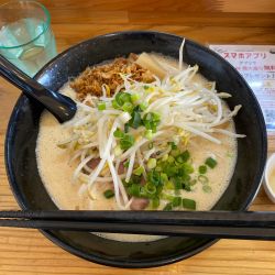 鶏泡みそ大盛ニンニクトッピング