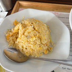 しょうがの海の画像