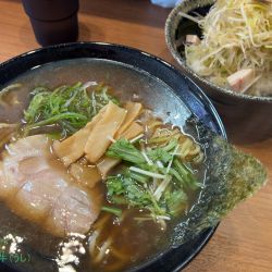煮干鰹ラーメンネギ丼セット(1450円)
