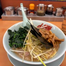 醤油ネギラーメン840円　メンマ、ほうれん草