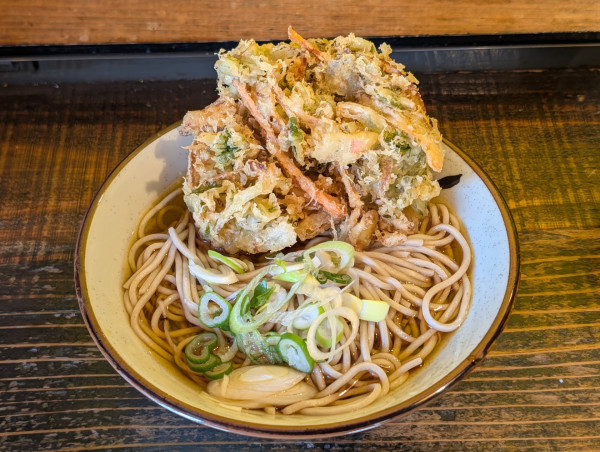 「天ぷらそば（500円）」@はなゆうの写真