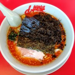 辛味噌ラーメン　薬味ネギ　岩のり＋