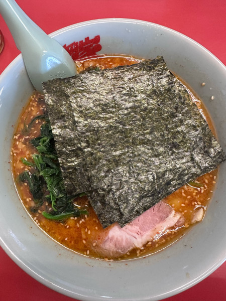 「辛味噌ラーメン【中辛】」@ラーメン山岡家 かすみがうら店の写真